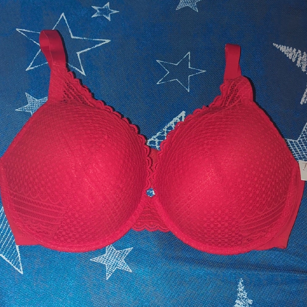 AUDEN Red Lace Push-Up Plunge Bra 40DDD NWT